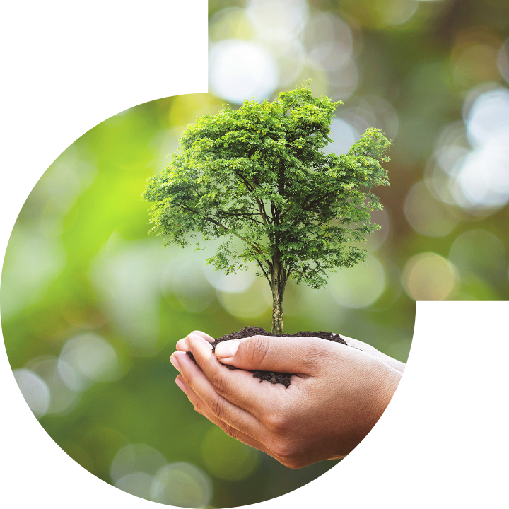 关怀人类、文化、环境与社会